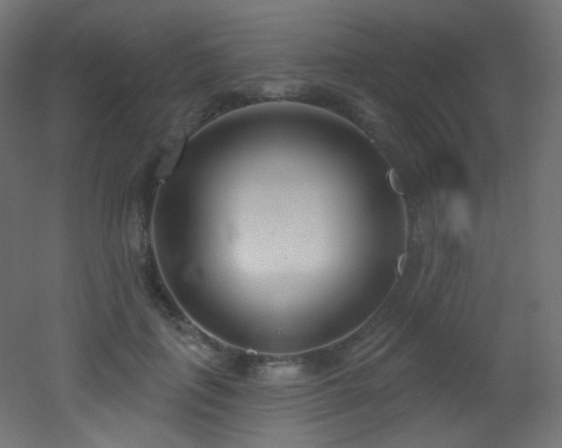X0000053160651200507111508