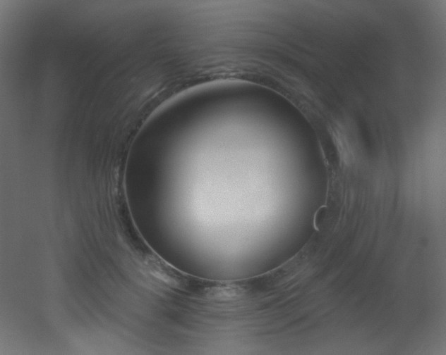 X0000053160652200507111508