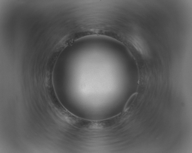 X0000053160656200507111508