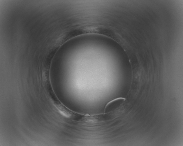 X0000053160658200507111508