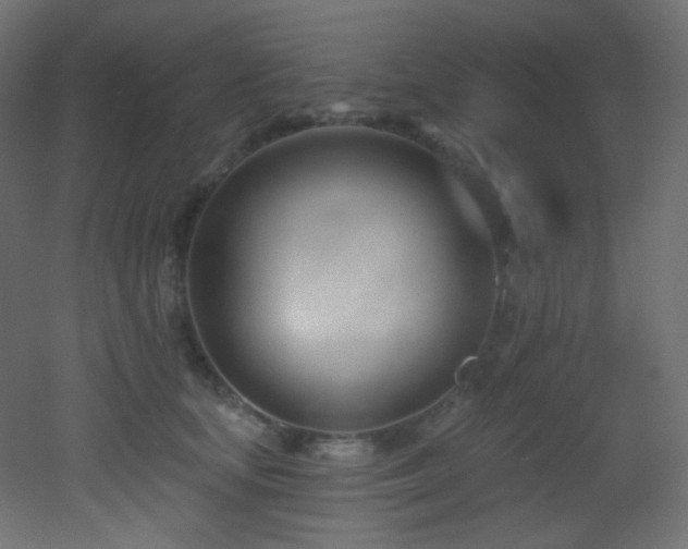 X0000053160659200507111509