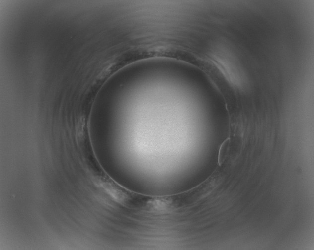 X0000053160660200507111509
