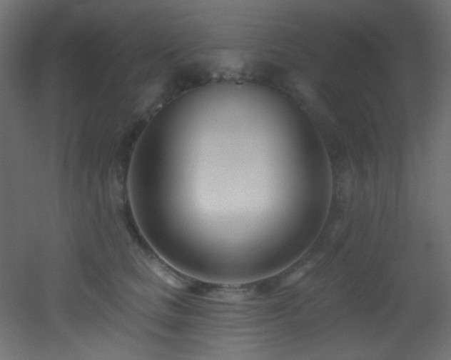 X0000053160661200507111509
