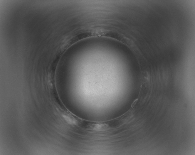 X0000053160663200507111509