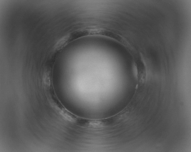 X0000053160666200507111509