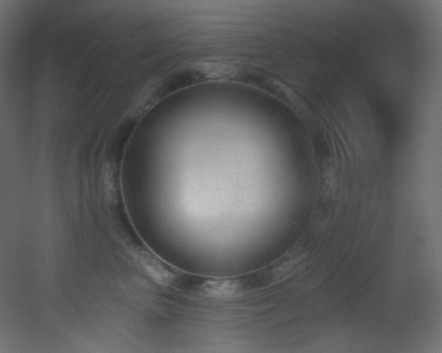 X0000053160667200507111509
