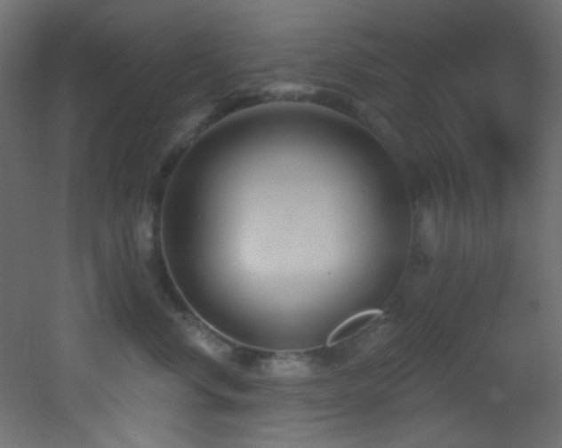 X0000053160668200507111509