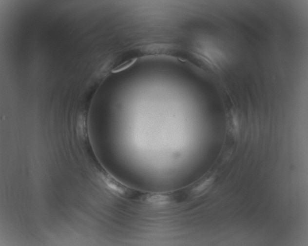 X0000053160669200507111509
