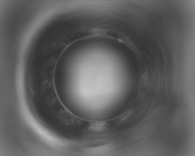 X0000053160671200507111509