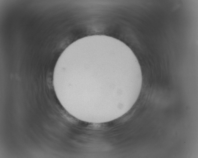 X0000053160672200507111509
