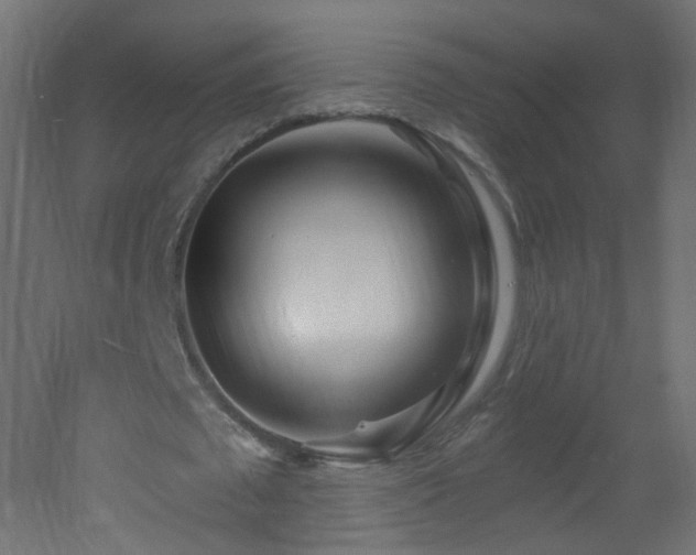 X0000053160673200507111508