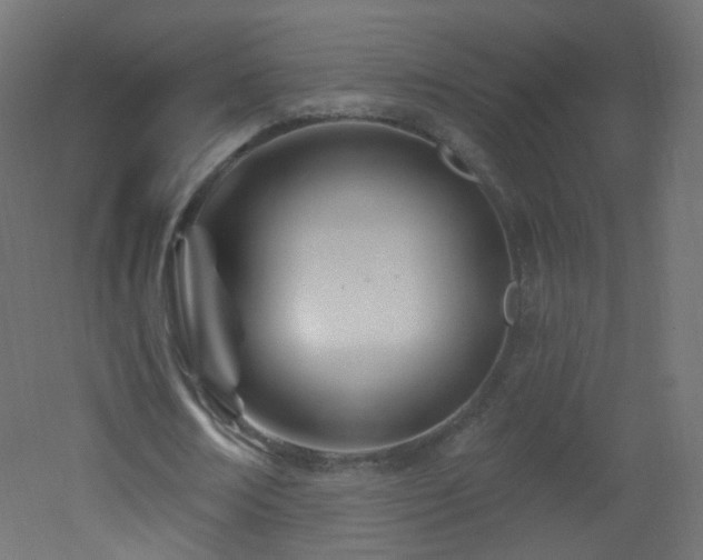 X0000053160674200507111508