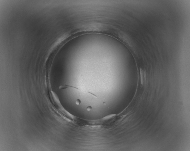X0000053160675200507111508