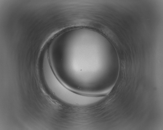 X0000053160676200507111508