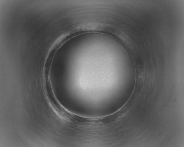 X0000053160678200507111508