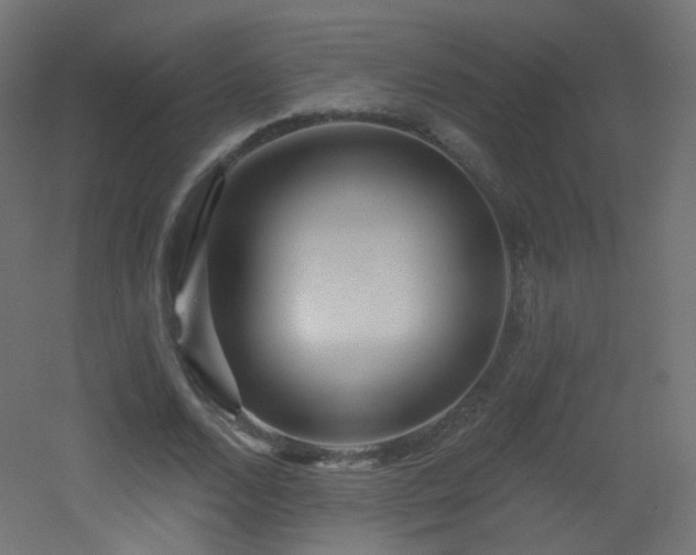 X0000053160680200507111508