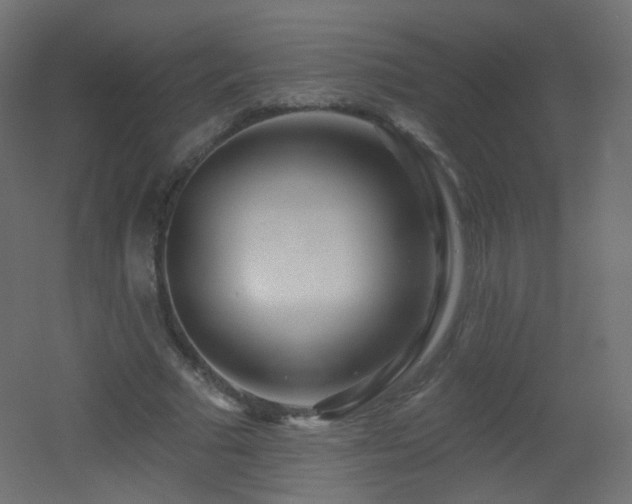 X0000053160681200507111508
