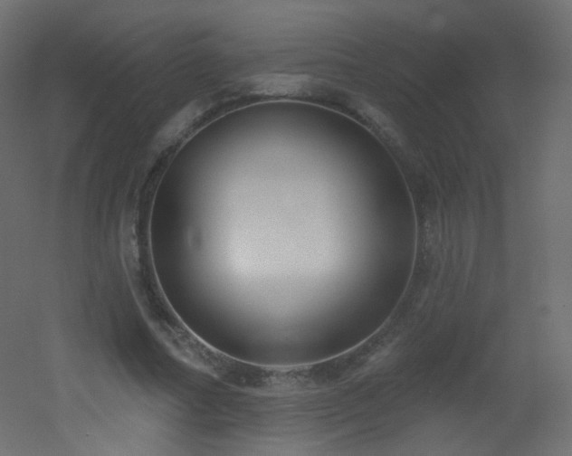 X0000053160682200507111508