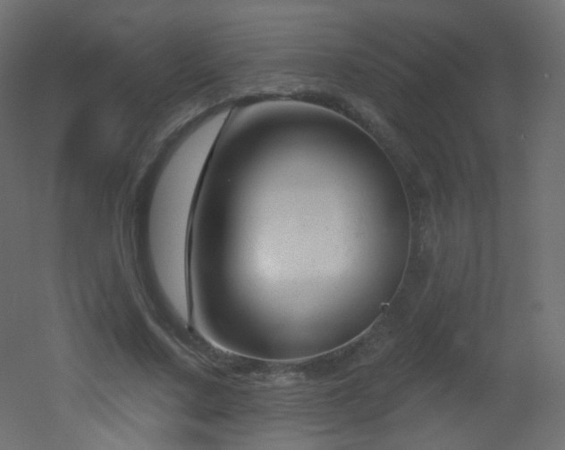 X0000053160683200507111508