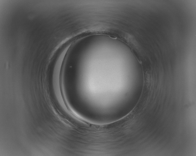 X0000053160684200507111508