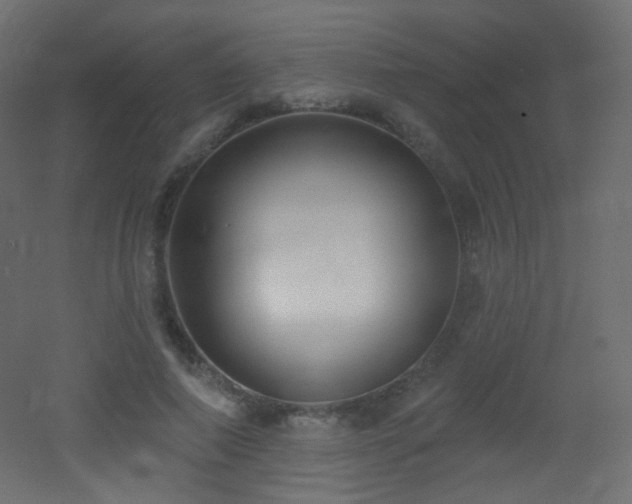 X0000053160690200507111508