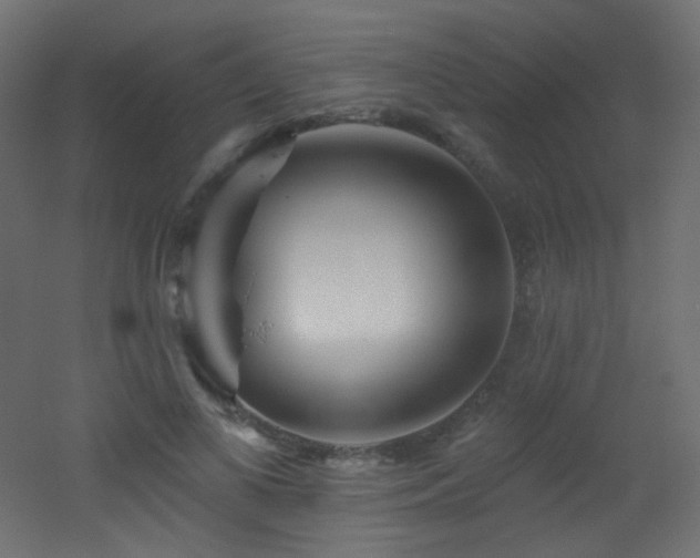 X0000053160693200507111508