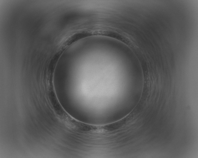 X0000053160695200507111508