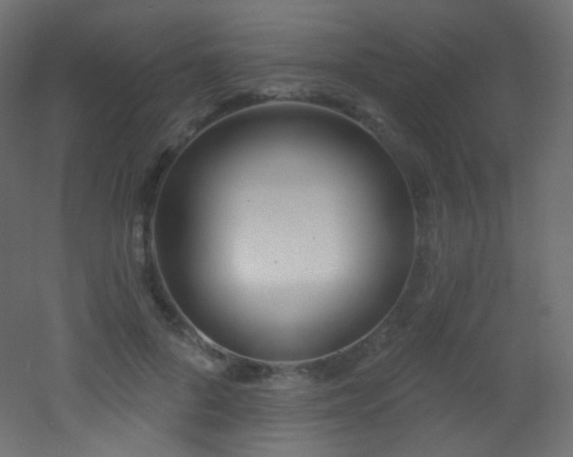 X0000053160696200507111508
