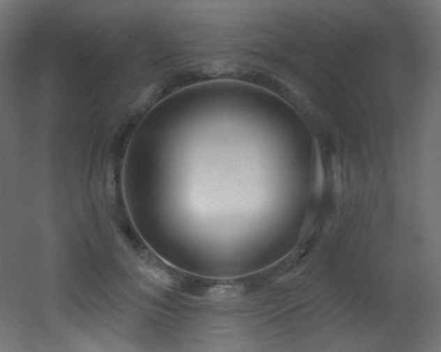 X0000053160700200507111507