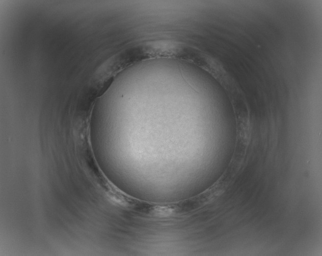 X0000053160701200507111507