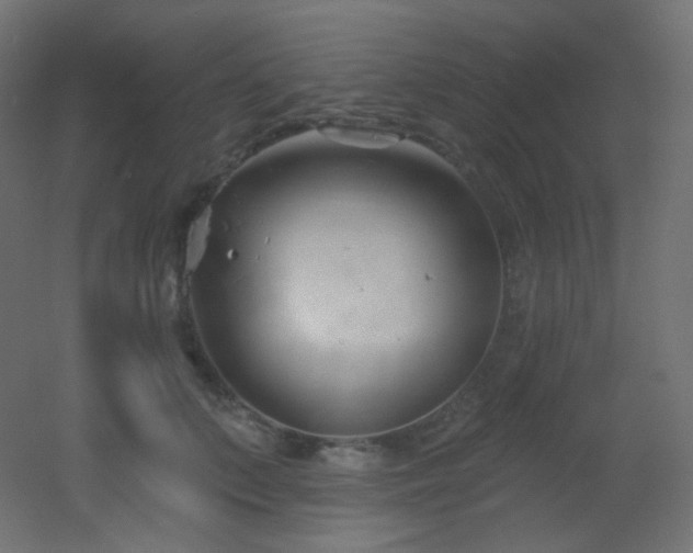 X0000053160703200507111507