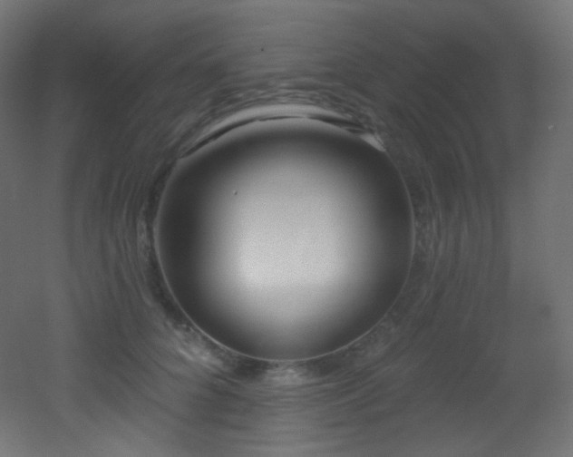 X0000053160704200507111507