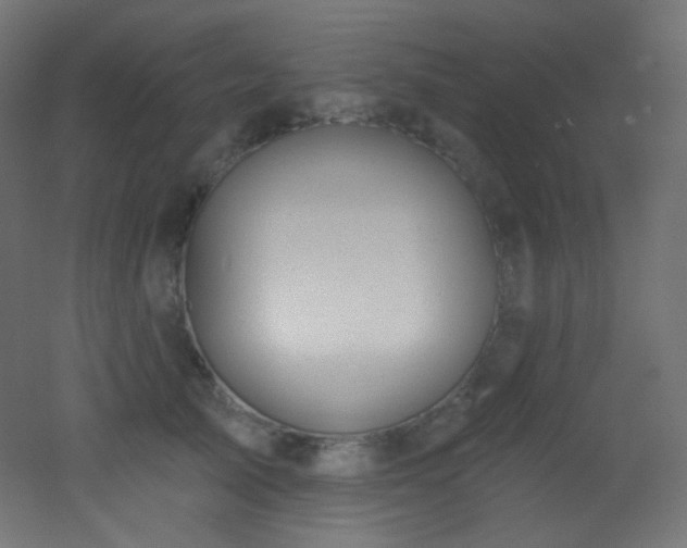 X0000053160705200507111507