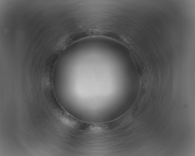 X0000053160706200507111507