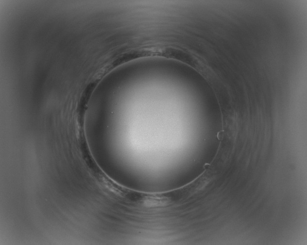 X0000053160707200507111507