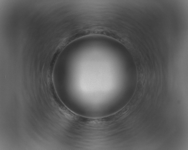 X0000053160708200507111507