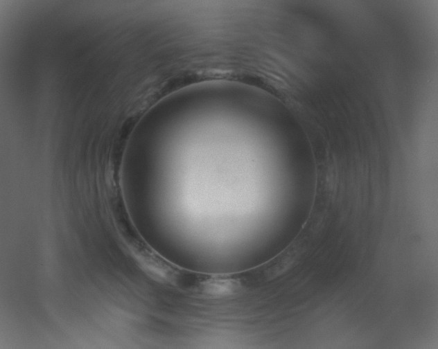 X0000053160711200507111507