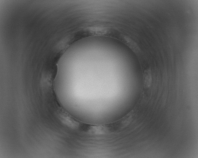X0000053160713200507111507