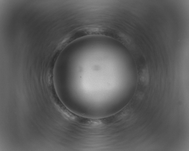 X0000053160715200507111507