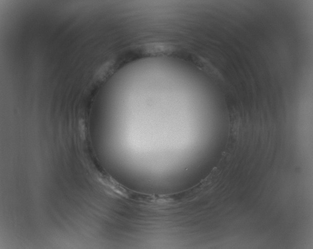 X0000053160716200507111507