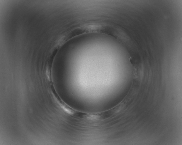 X0000053160718200507111507