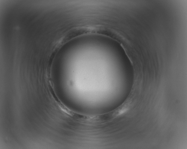 X0000053160720200507111507