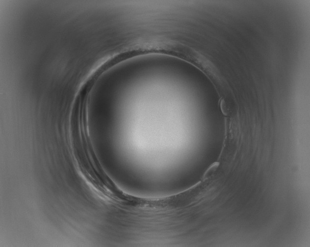 X0000053160722200507111506
