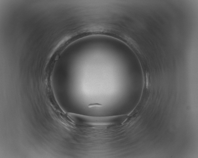 X0000053160723200507111506