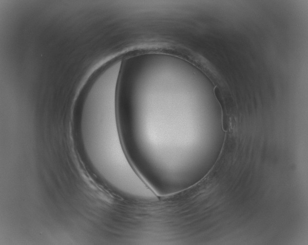X0000053160724200507111506