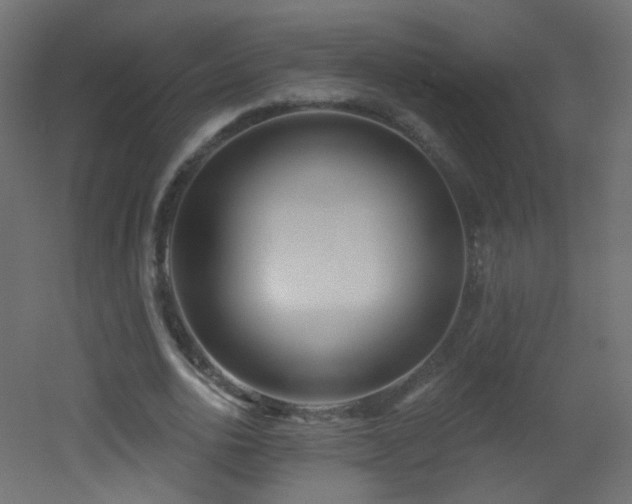 X0000053160726200507111506