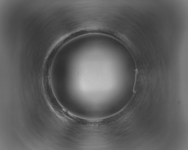 X0000053160728200507111506