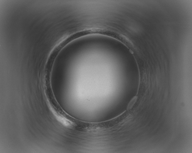 X0000053160730200507111506