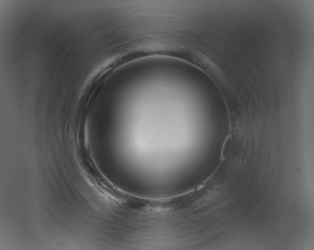 X0000053160732200507111506