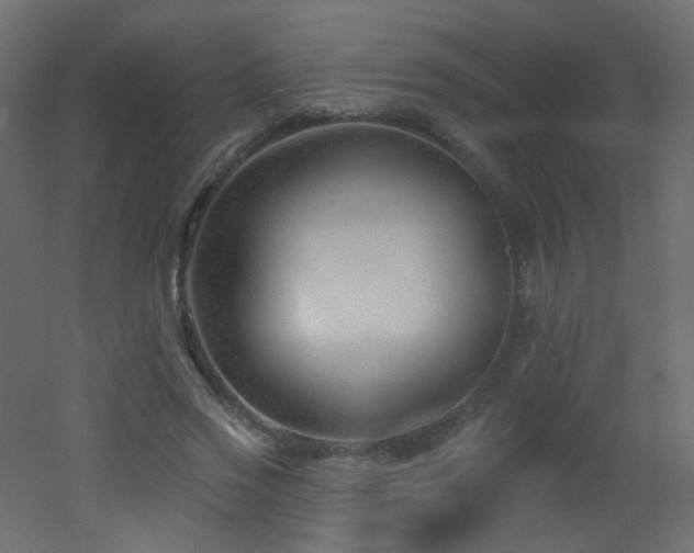 X0000053160733200507111506
